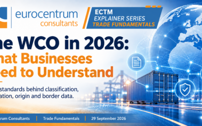 The WCO in 2026: What Businesses Need to Understand